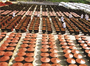 用好“老干媽”金字招牌，貴州三年聚力打造辣椒產(chǎn)業(yè)強(qiáng)省新藍(lán)圖